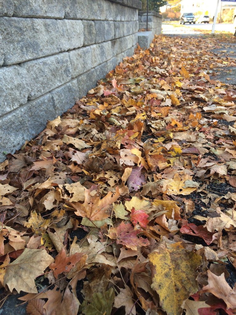 Are You Ready…? It’s OK If You’re Not