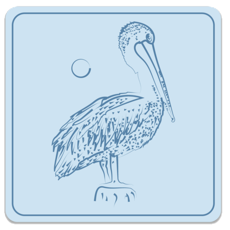Hand drawn pelican dye cut sticker